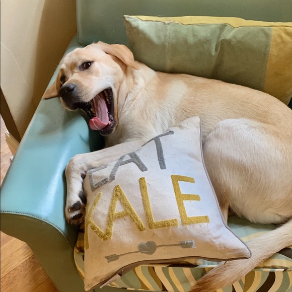 New sidekick trip to the lake .... - Picture 3 of 13